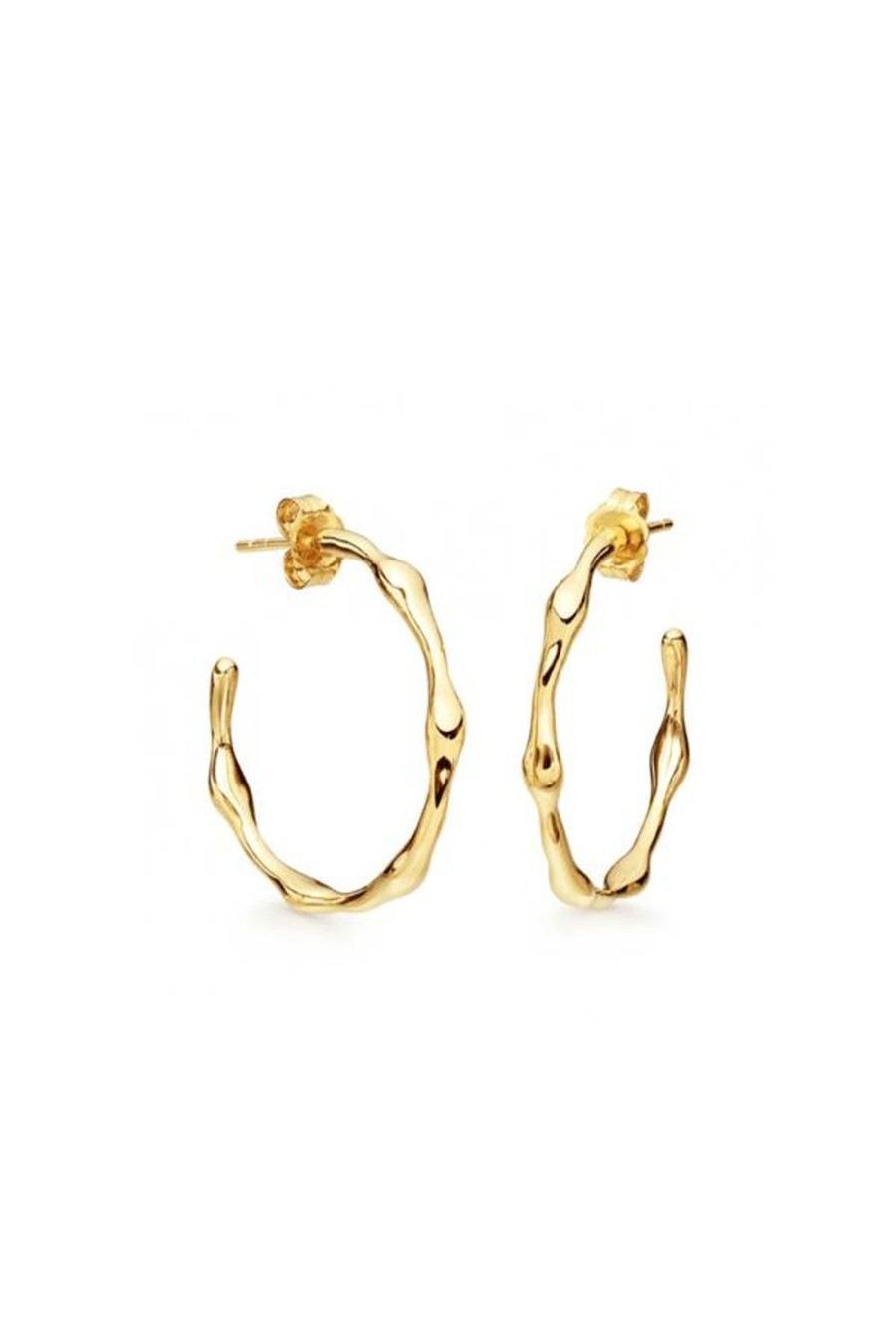 Accessories Jewellery Earrings | Jewel Citizen | Paris Hoop Earrings Gold