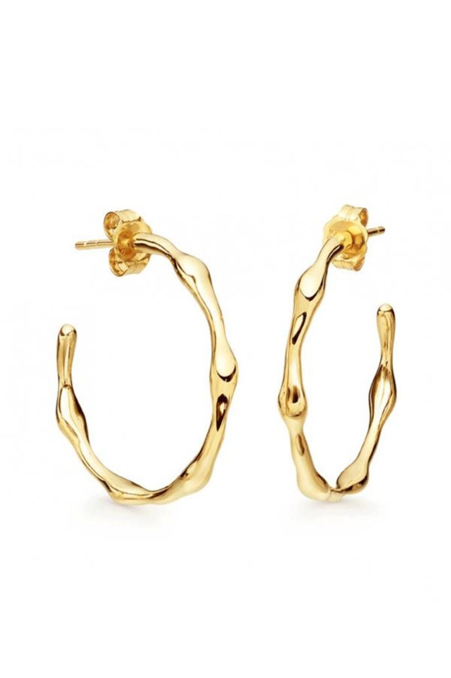 Accessories Jewellery Earrings | Jewel Citizen | Paris Hoop Earrings Gold