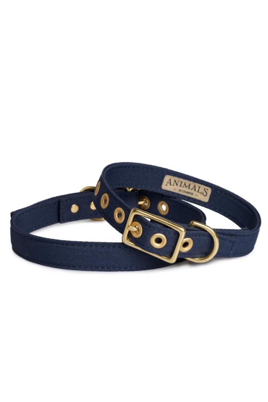 Wellness + Beauty Kabana | Lge Brass Dog Collar-Navy