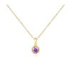 Accessories Jewel Citizen Necklaces | Jewel Citizen | Birthstone Necklace | February