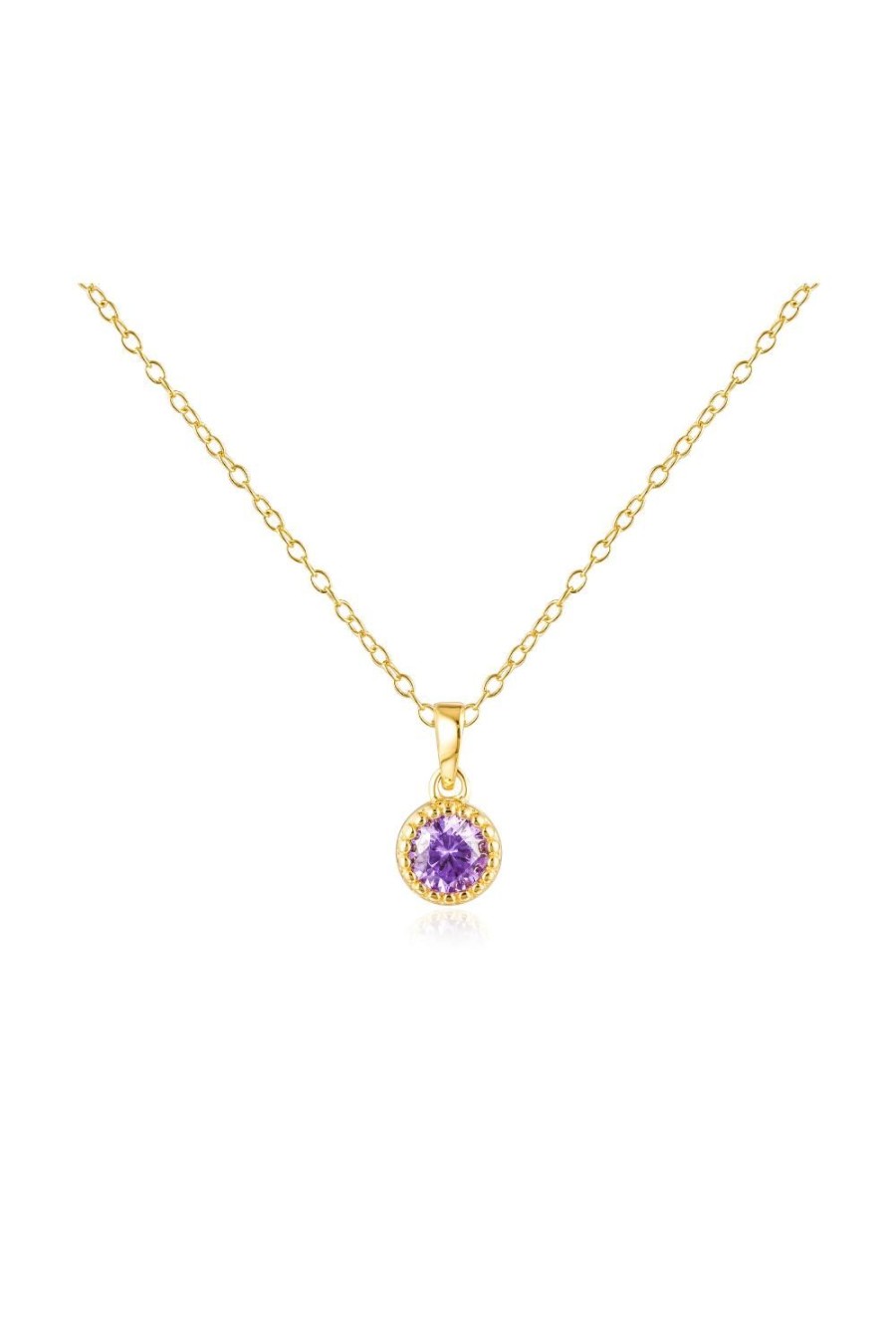 Accessories Jewel Citizen Necklaces | Jewel Citizen | Birthstone Necklace | February