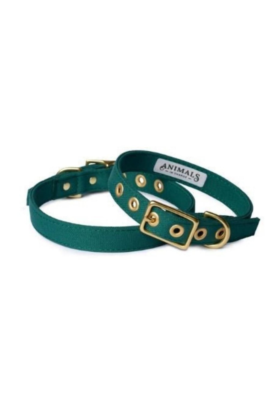 Wellness + Beauty Kabana | Med Brass Dog Collar-Forest Green