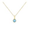 Accessories Jewel Citizen Necklaces | Jewel Citizen | Birthstone Necklace | December