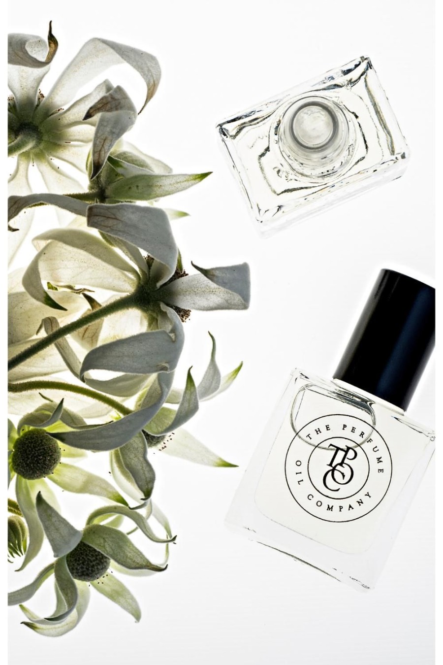 Wellness + Beauty Kabana | Gypsy Perfume-Inspired By Gypsy Water-Byredo