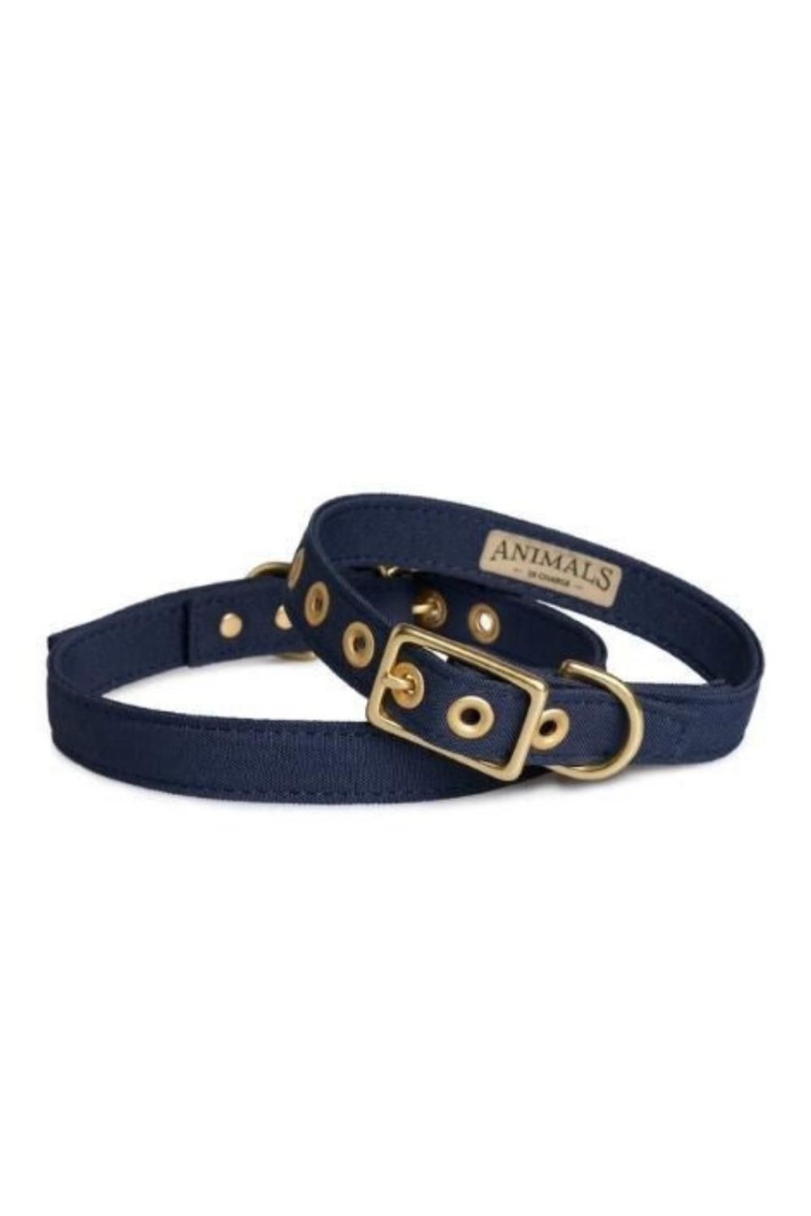 Wellness + Beauty Kabana | Medium Brass Dog Collar-Navy