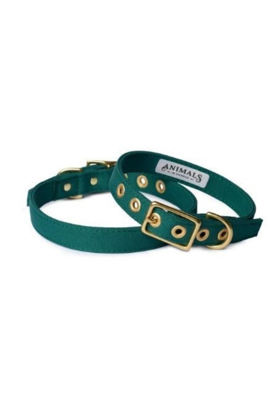 Wellness + Beauty Kabana | Large Brass Dog Collar-Forest Green